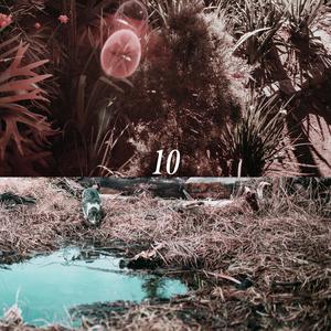 日韩三级日逼片
