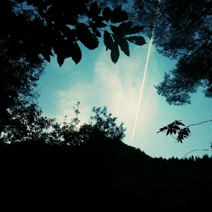 日韩三级日逼片
